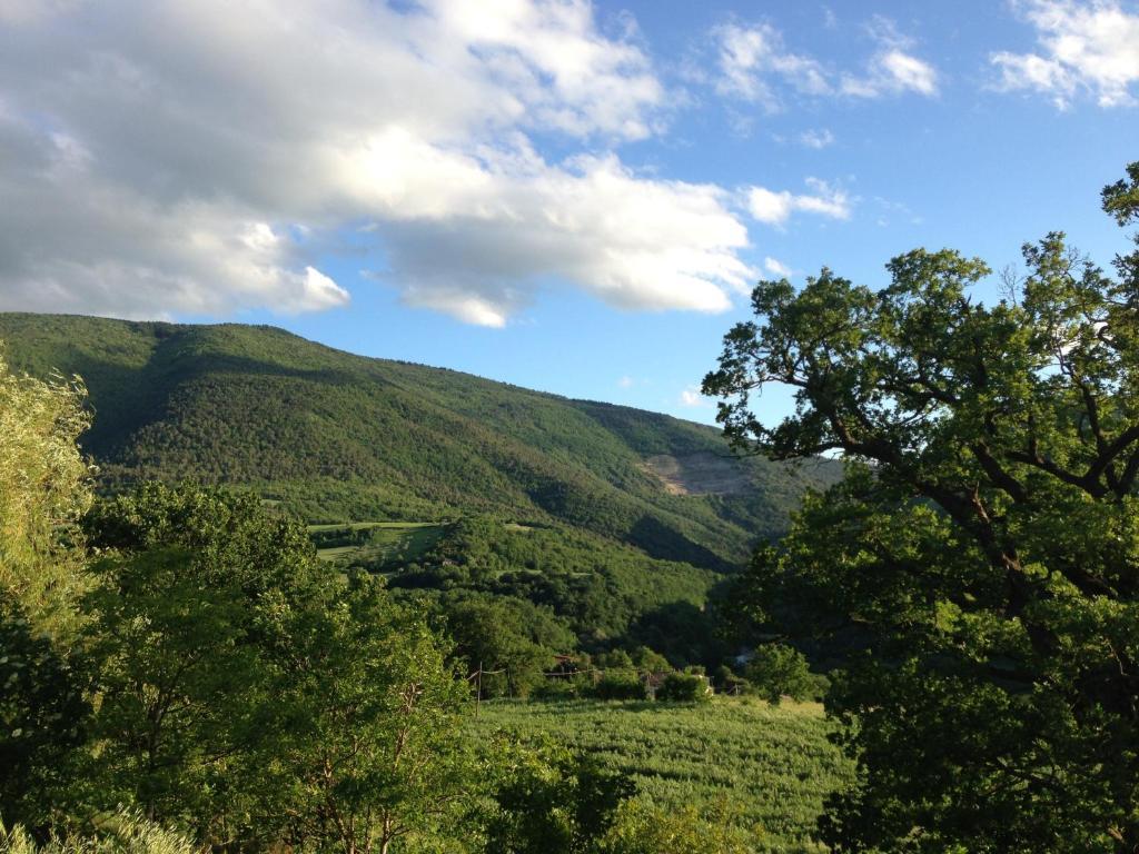 Agriturismo Nizzi Villa Assisi Exteriör bild
